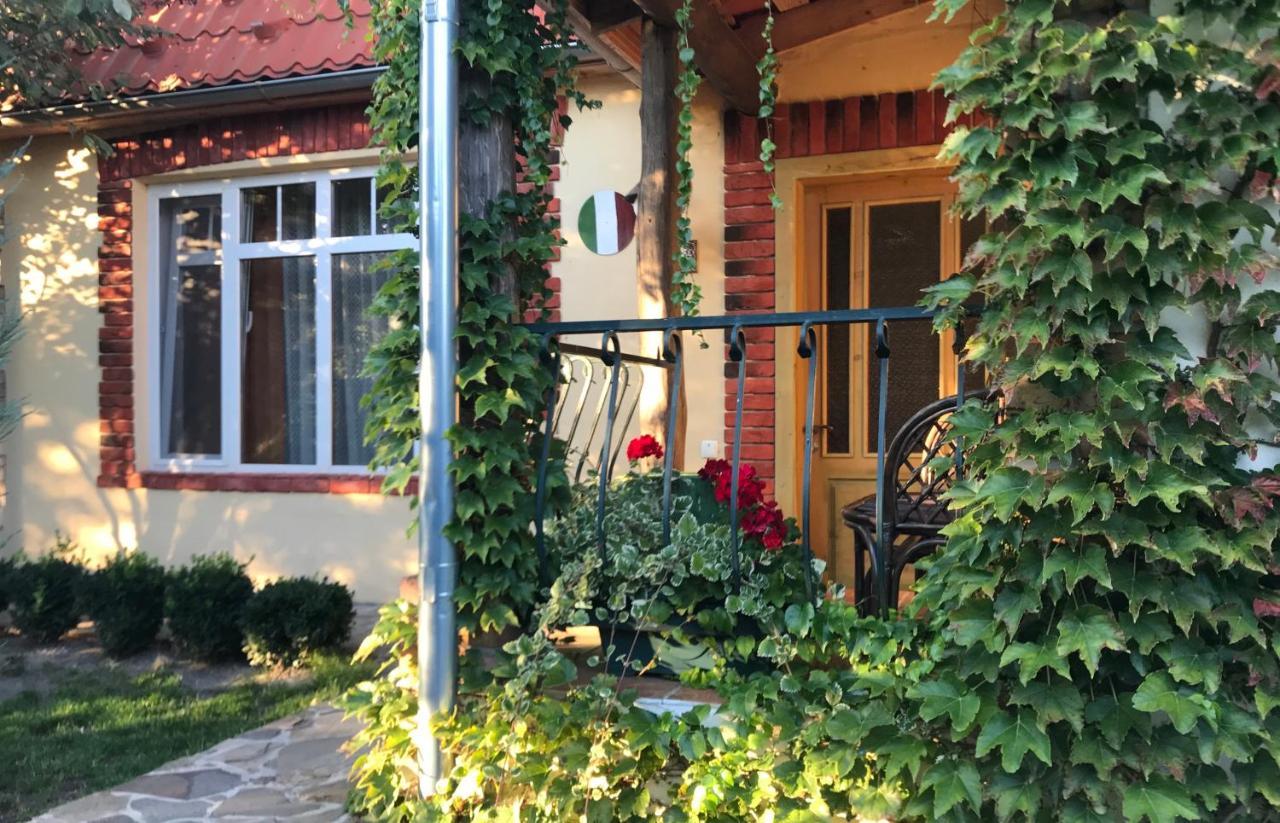 Flower Street Svitjaz Eksteriør bilde
